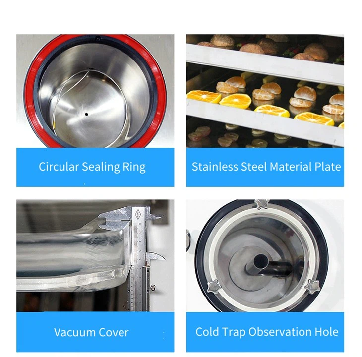 Small Freeze Dryer For Home Use